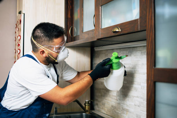 Best Best Pest Control Companies  in Woodlawn, VA