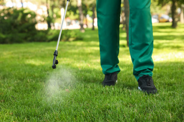 Best Pest Control Treatment  in Woodlawn, VA