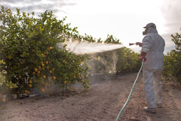 Best Local Pest Control Services  in Woodlawn, VA