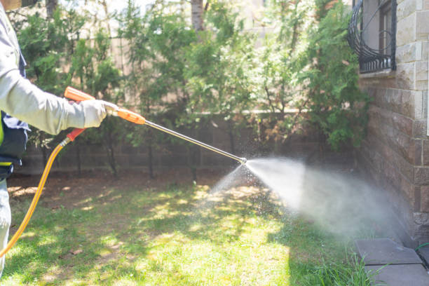 Best Wasp Removal Services  in Woodlawn, VA
